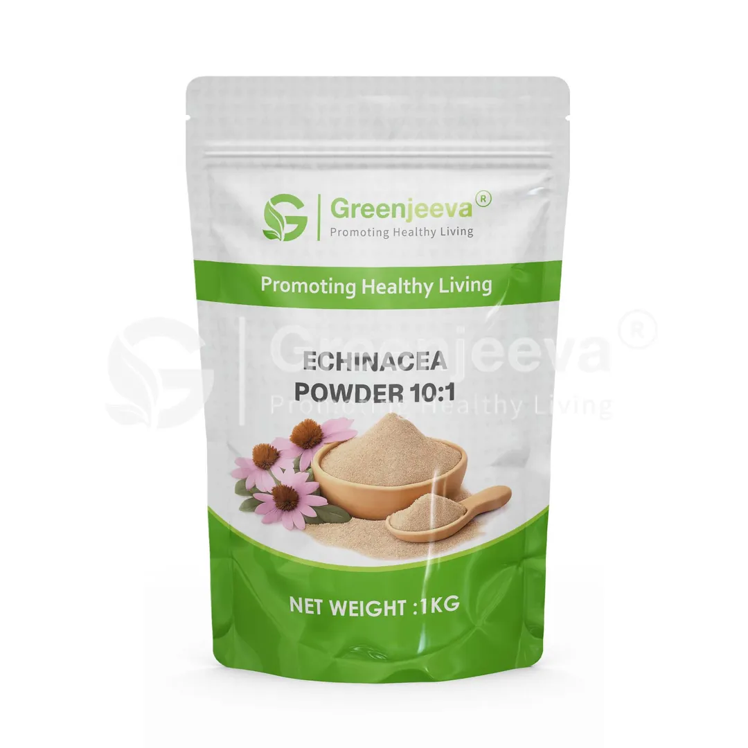 Echinacea powder 10 1 Pouch Echinacea powder 10 1 Pouch